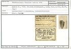 Karteikarte zum Holotyp von Frondicularia fragilis Karrer, 1870